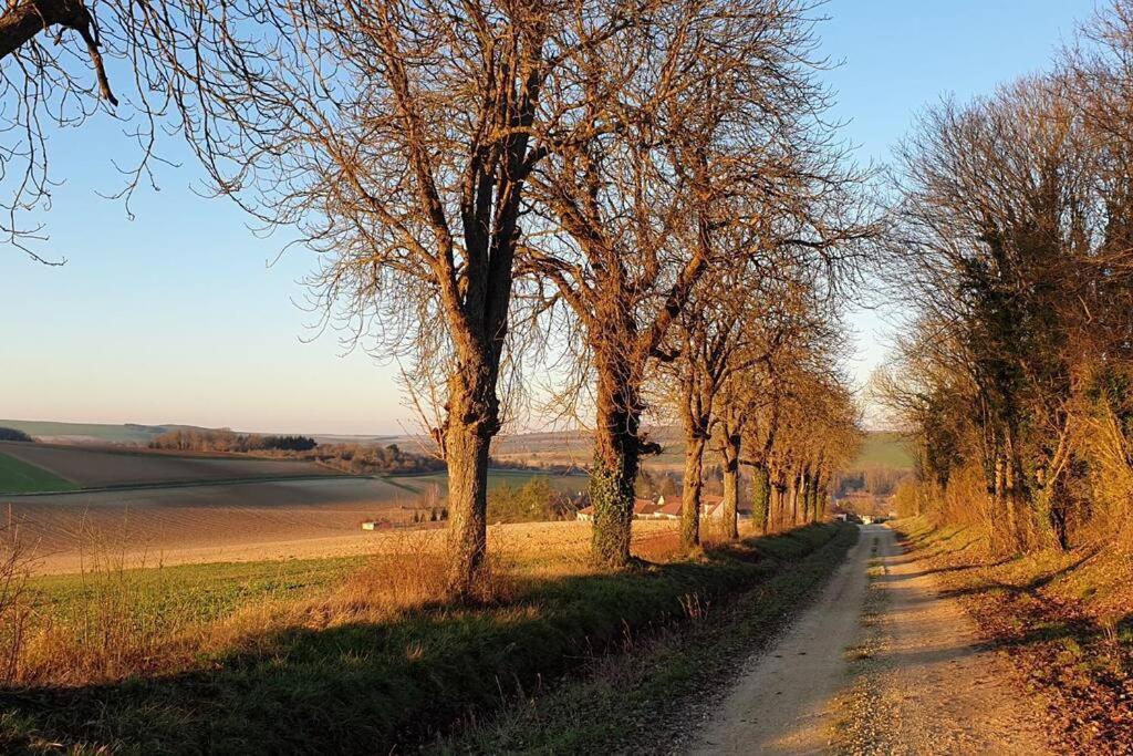 Le Bellevue A 1 H 30 De Paris Et 20 Km De Troyes Villa Estissac Eksteriør billede